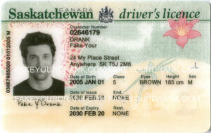 Saskatchewan Fake ID